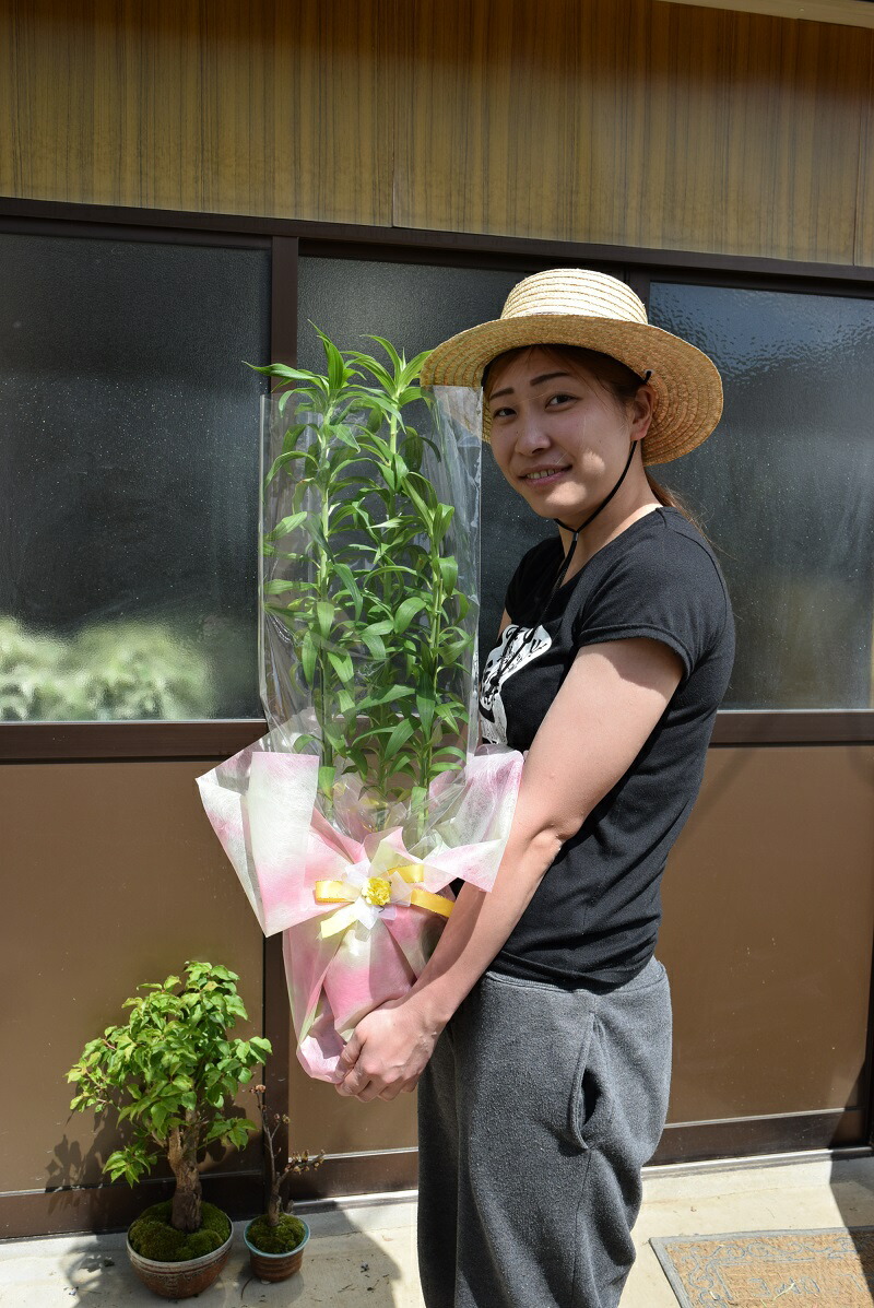 楽天市場 母の日ギフト年鉢花カサブランカ鉢植え蕾ですので育てる楽しみ 開花は5月末頃 園芸百貨店何でも揃うこぼんさい