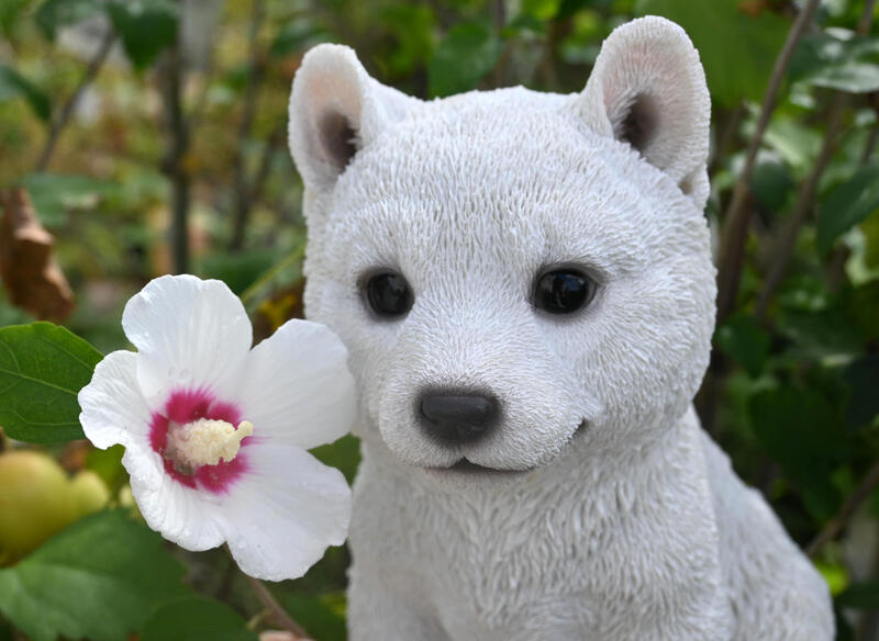 ゆき　(桜) 柴犬　後ろ姿　小物入れ ゆき様専用 (桜) 柴犬 後ろ姿 小物入れ