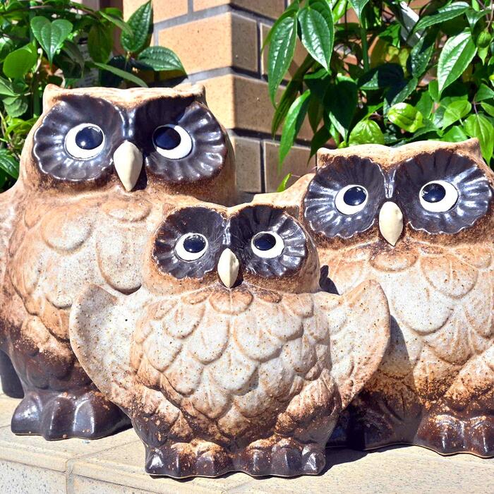 幸せを呼ぶ置物ふくろう 楽天市場】幸せを呼ぶ羽ばたきふくろう 信楽焼き置物 フクロウ 3