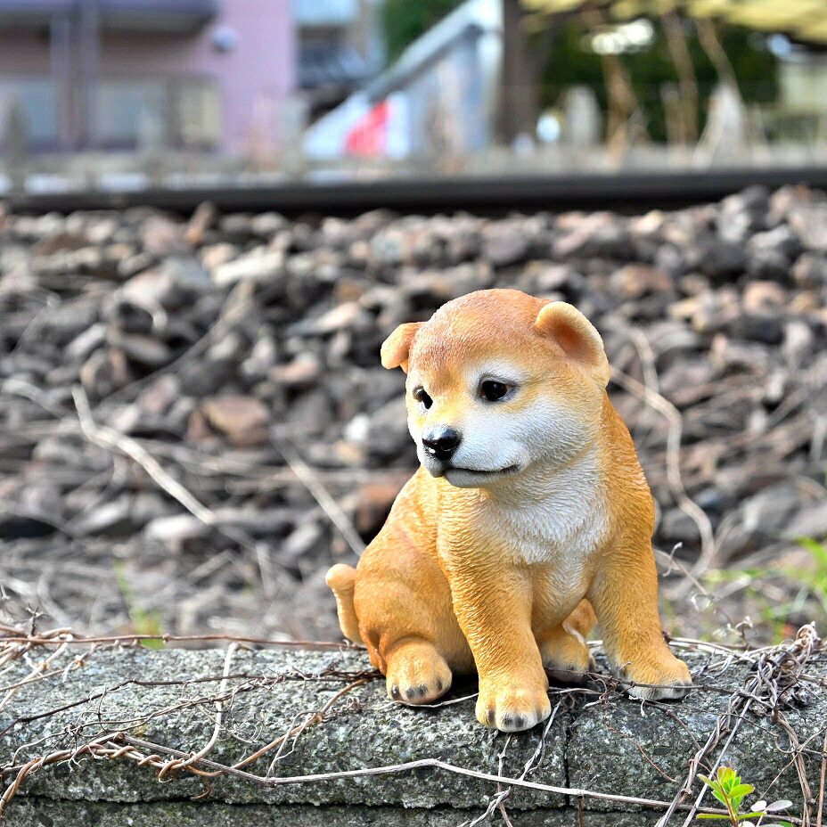 楽天市場】秋田犬置物 かわいい置物 犬の置物秋田犬 小鉄くんお庭や玄関に飾っても、お部屋のインテリアとしてもおすすめです。 :  園芸百貨店何でも揃うこぼんさい