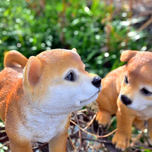 楽天市場】秋田犬置物 かわいい置物 犬の置物秋田犬