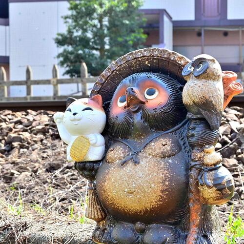 装飾置物（たぬき） Amazon.co.jp: しがらき焼 ヤンキー狸【ヤンキー狸 ta-0385