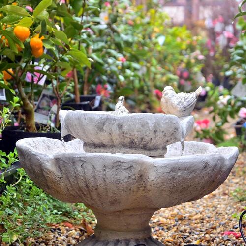 楽天市場】バードバス 小鳥付き BIRD BATH 傘アンティーク調