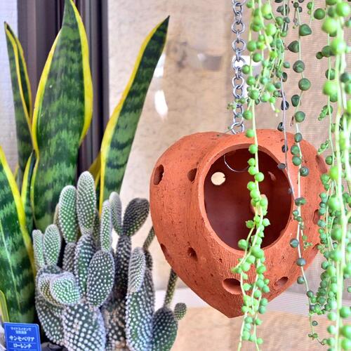 楽天市場】オーナメント星ガーデンスカルプチャー 小 【テラコッタ