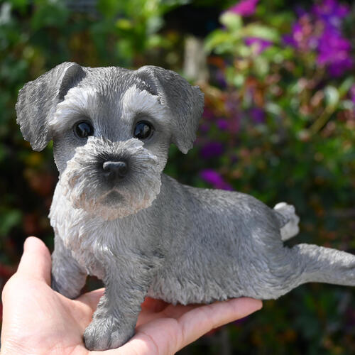 楽天市場】犬の置物 シュナウザー ダンディードッグ ワンちゃん いぬ