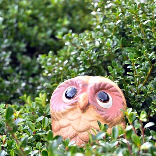 フクロウ ミニふくろう 梟 キュン まんまるおめめ ふくろう 置物 幸福 魔除け 可愛い置物 お庭や玄関はもちろん、お部屋にも飾れます。