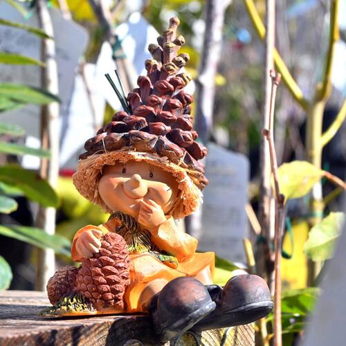 楽天市場】ちょこんとおすわり2 まつぼっくりの妖精置物 かわいい置物