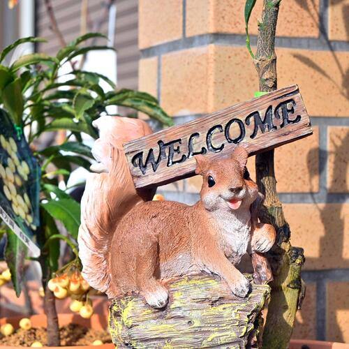 楽天市場】リス 木の上のリス リっちゃん木の実 りすの置物可愛い置物