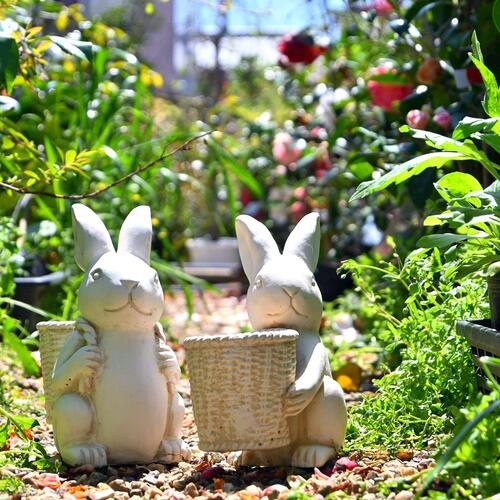 楽天市場】2025年10月頃入荷予定 ハピうさビッグ うさぎ 2つセット