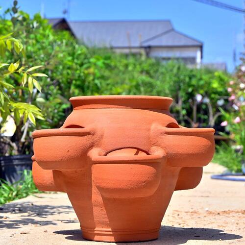 楽天市場】テラコッタのかわいいストロベリーポット 大素焼き 鉢