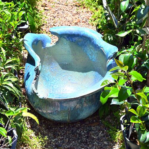 ※現品限り 水鉢 鮮やかな青水 和 日本庭園水の癒し 清めるメダカ 睡蓮 デザイン鉢マイナスイオン|園芸百貨店何でも揃うこぼんさい