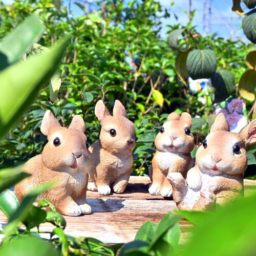 楽天市場】2025年12月再入荷予定。 ハピうさビッグ うさぎ 2つセット