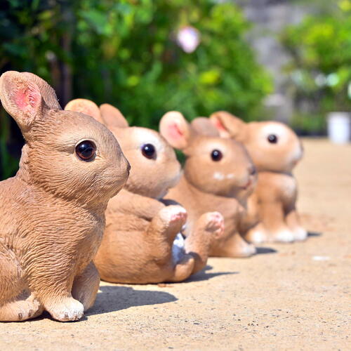 楽天市場】2026年4月頃入荷予定。 ハピうさビッグ うさぎ 2つセット