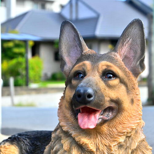楽天市場】2025年5月より発送ドーベルマン いぬ 犬の置物