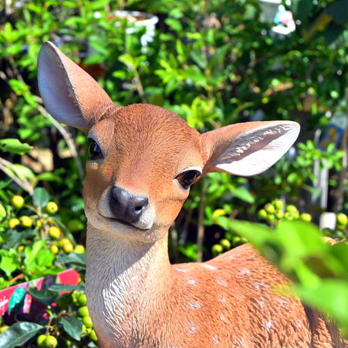 鹿の置物　うつぶせ リアルな置物　かわいい置物　置物 青丹良子さん お庭や玄関に飾るとgood！ 本物のような置物