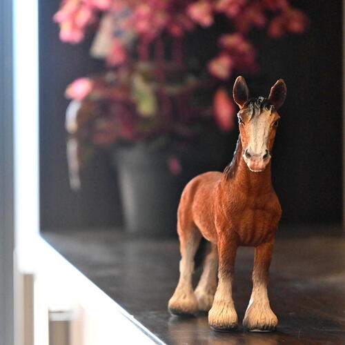 楽天市場】馬 立つ馬 ブラウン置物 リアルな置物 馬の置物お部屋や玄関