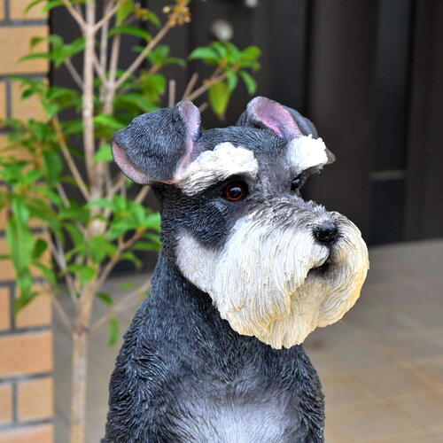 レトロ　新品　シユナウザー　犬　美品 61KmPI8KVGL._AC_UF894,