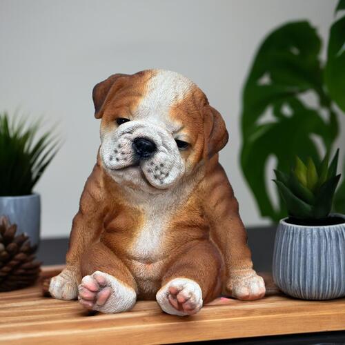 楽天市場】おすわりブルドッグ ミニぷっちょ犬 ふにゃふにゃ 置物 犬の