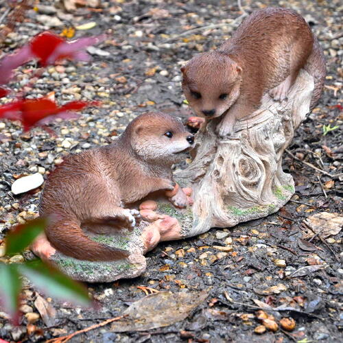 楽天市場】カワウソ 置物 リアルな かわうそのオブジェ 動物