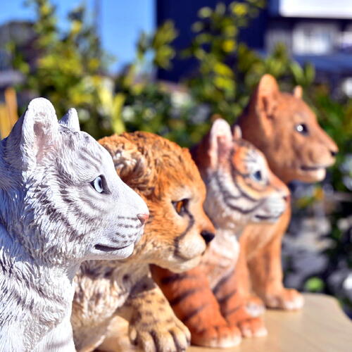 ネコ科　赤ちゃん　４つセット 置物　かわいい置物　赤ちゃんの置物 ライオン　トラ　チーター　ホワイトタイガー お庭や玄関、お部屋にも合います。 プレゼントにもどうぞ。