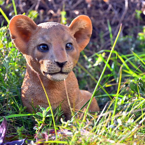 楽天市場】ベビー ライオン 置物 お座りアニマル像 インテリア 屋内外