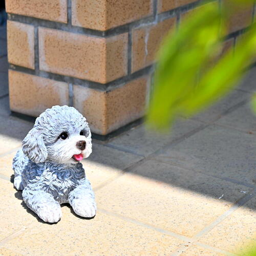 楽天市場】トイプードル かご入り置物 かわいい置物 犬の置物 かご子犬