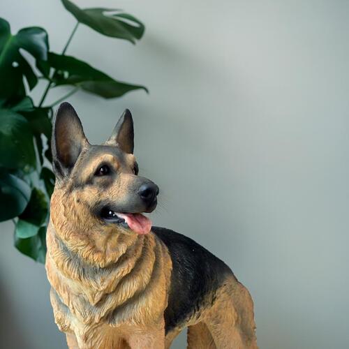 番犬 楽天市場】番犬 わんわんリキ ワンワンリキ SH2980 センサー感知