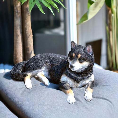 楽天市場】黒豆柴 柴犬 バンダナ 黒柴豆柴の置物 置物 かわいい置物 犬