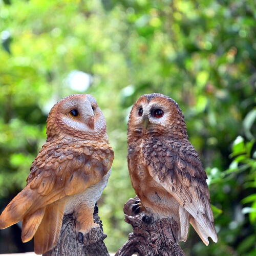 楽天市場】ふくろう ミニフクロウ置物 ちょっとリアルふくろうの置物