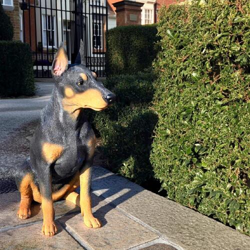 楽天市場】【ランキング1位獲得】 陶器犬 ドーベルマンほぼ実物大♪高