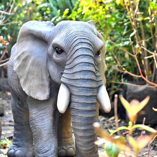 楽天市場】象 置物 リアルな 仔ゾウのオブジェ ぞう 動物オーナメント