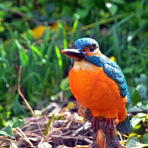 楽天市場】カワセミ オブジェ 手作り 木彫り バード 癒し 小鳥 置き物