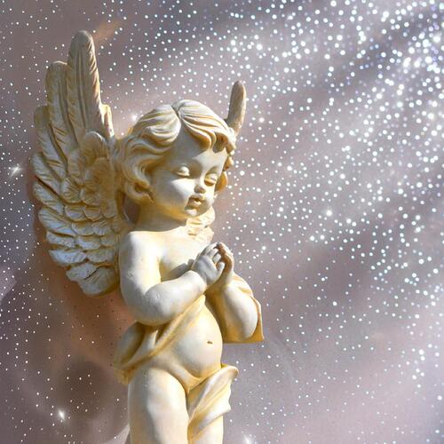 楽天市場】エンジェルスターAngel Starプラチナシリーズ美しい