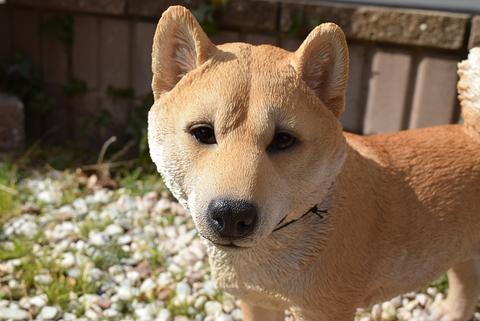 外装親子子隠密犬置物親子 太郎と小太郎 柴犬子犬 Marchesoni Com Br