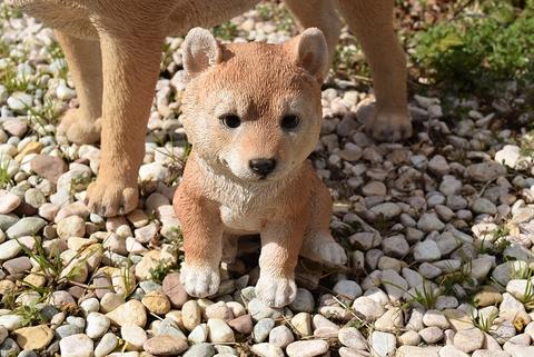 外装親子子隠密犬置物親子 太郎と小太郎 柴犬子犬 Marchesoni Com Br