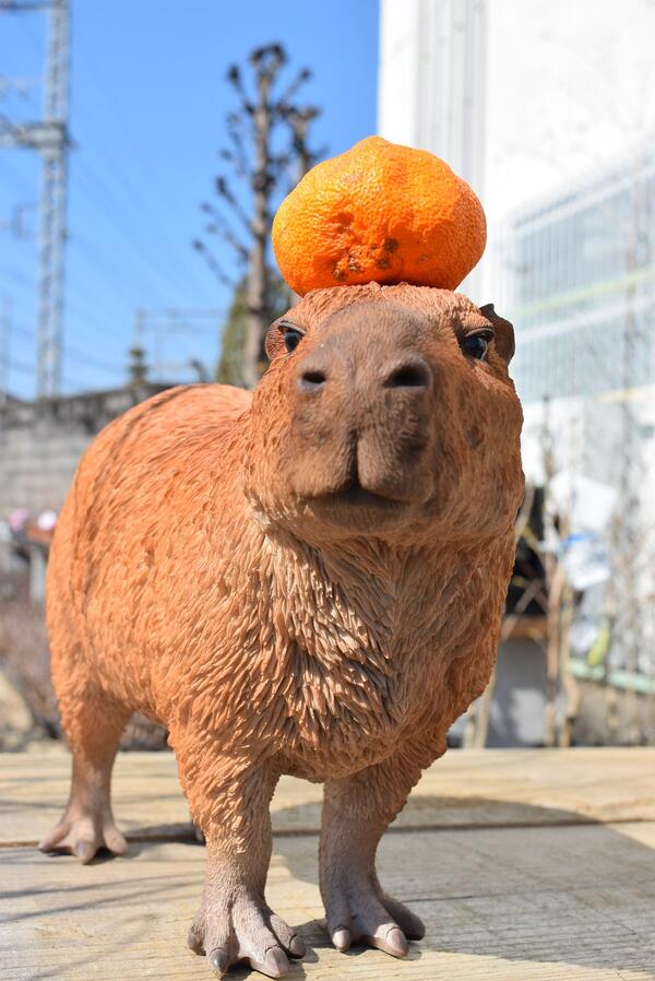 カピバラ 子供 大人 3つセットカピバラの置物 置物 かわいい小さいカピバラ おっさんと姪っ子甥っ子お庭や玄関に飾るとgood。  エクステリア・ガーデンファニチャー