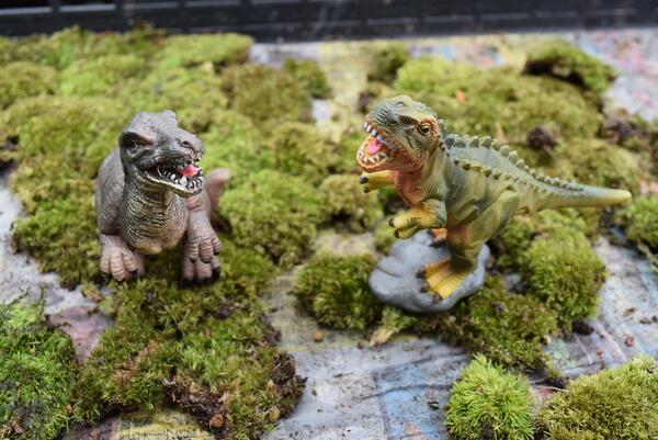 楽天市場】恐竜の置物 2個セットティラノサウルス トリケラトプス恐竜