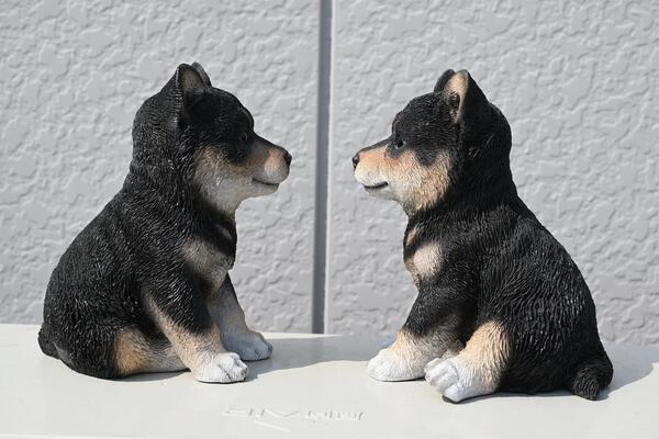 激安正規 豆柴 柴犬 犬 マメシバ豆柴の置物 置物 かわいい置物 小さい犬 子犬 豆太郎と柴子 二匹セットお庭や玄関に合います プレゼントにもどうぞ Jmc Com Ph