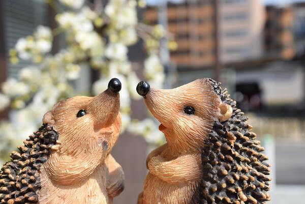 楽天市場】ハリネズミ フィギュア 高さ16cm □ はりねずみ やまあらし