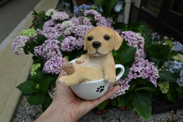 ティーカップ 犬 2個セット置物 お部屋にも合います かわいい置物 プレゼントにもどうぞ 犬の置物ラブラドールお庭や玄関 大人気 2個セット置物