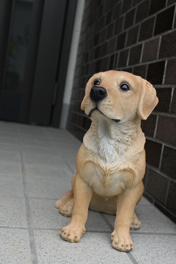 超美品の アイアン壁飾り 動物 犬 ラブラドールレトリバー Lab Dog Fucoa Cl