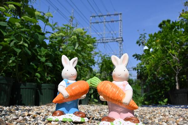 楽天市場】わらうさ キャロット 二つセットうさぎの置物 ラビット 藁