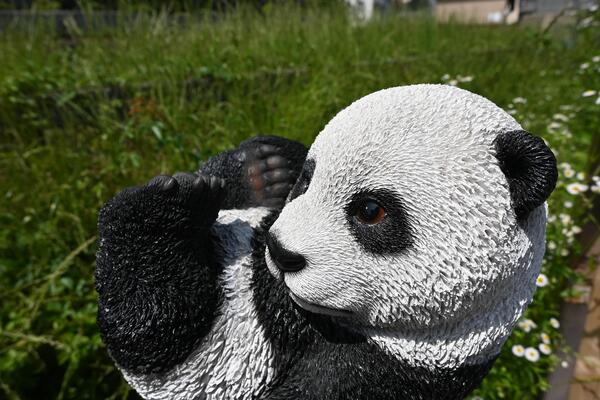 人気特価激安 パンダパンダの置物 置物 かわいい置物小さいパンダ 子パンダ ゆんゆんお庭や玄関に合います プレゼントにもどうぞ Ebrarmedya Com