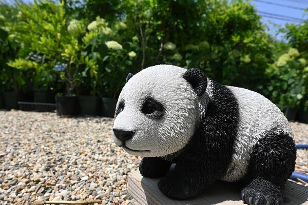 楽天市場】【新製品】【送料無料】可愛いパンダの置物 : 小さな石屋さん