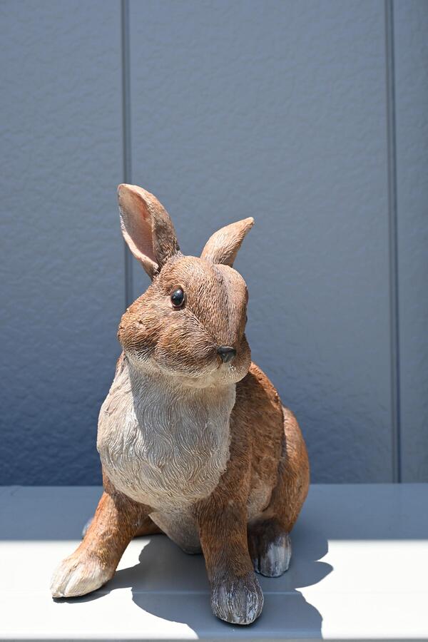 市場 ラビットc ラビットうさぎの置物 うさぎ置物 可愛い置物 リアルうさぎお庭や玄関に飾るとかわいいです