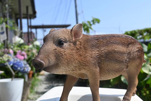 市場 うりぼう リッカロッカお庭や玄関 イノシシ 2個セット置物 猪の置物うりぼう 兄弟 かわいい置物