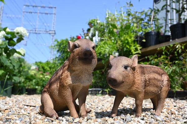 うりぼう イノシシ 猪の置物うりぼう かわいい置物 2個セット置物 兄弟 リッカロッカお庭や玄関