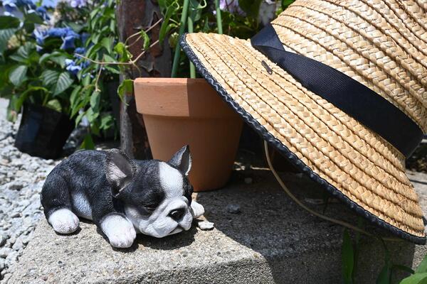 犬 フレンチブルドッグ クロ置物 かわいい置物 可愛い犬お庭や玄関に合います うとうと子犬