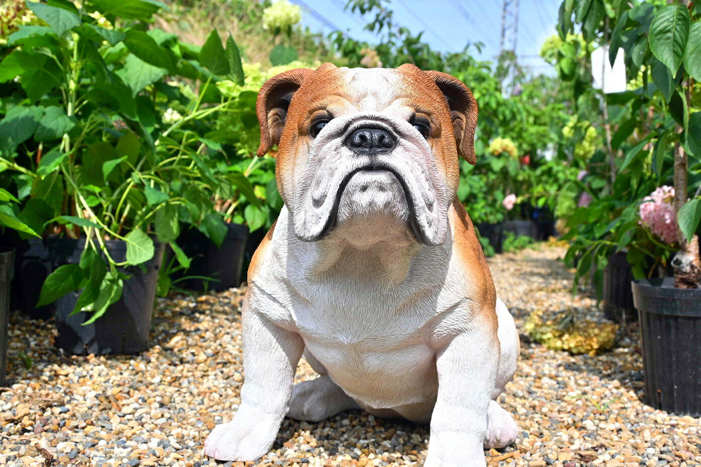 円 ランキング22 ブルドッグ置物 かわいい置物 犬の置物大きい犬お庭や玄関に飾るとgood 本物のような置物 円 ランキング22 ブルドッグ置物 かわいい置物 犬の置物大きい犬お庭や玄関に飾るとgood 本物のような置物
