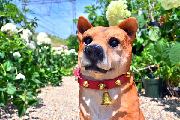 犬 赤い首輪の犬置物 かわいい置物 犬の置物大きい犬 みたらしくんお庭や玄関、お部屋にもどうぞ。本物のような置物|園芸百貨店何でも揃うこぼんさい